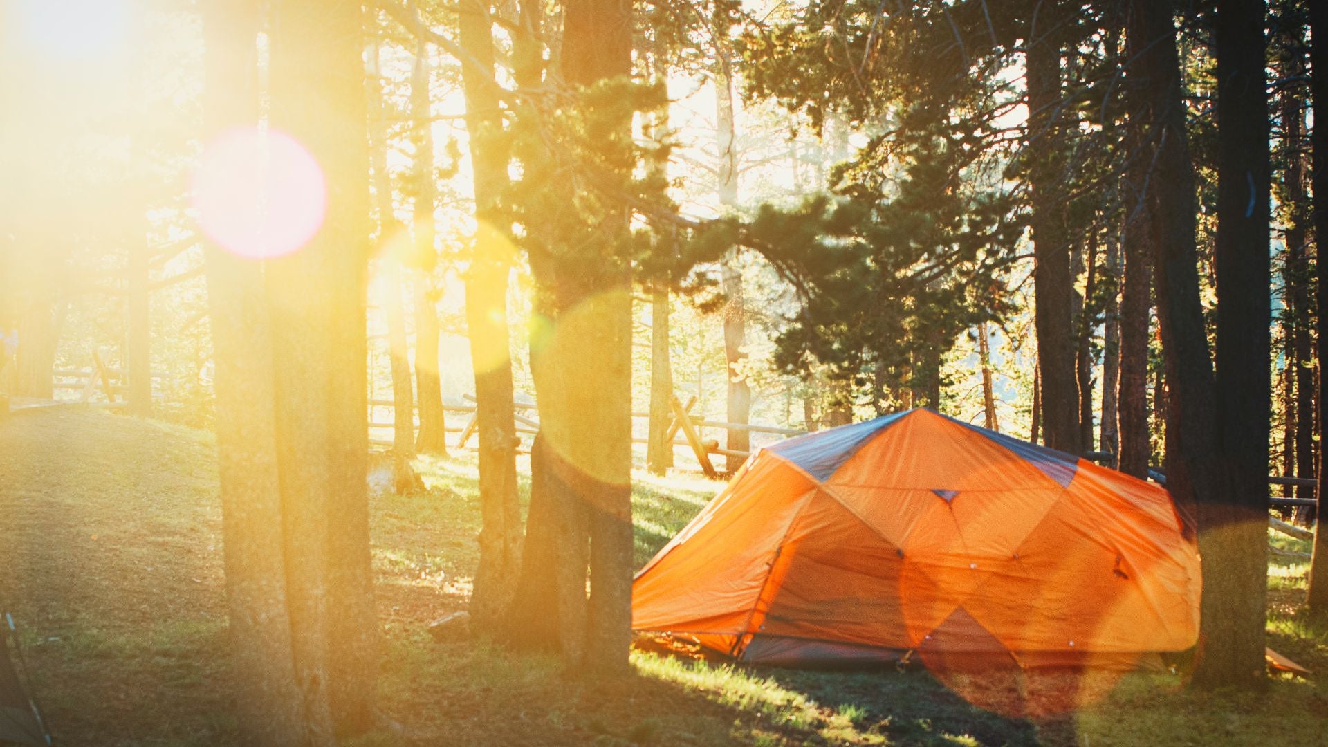 Recommendation: Celebrating national camping month in nature!